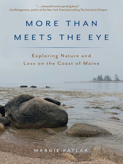 Title details for More Than Meets the Eye by Margie Patlak - Available